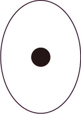 PERGAMENO 10241