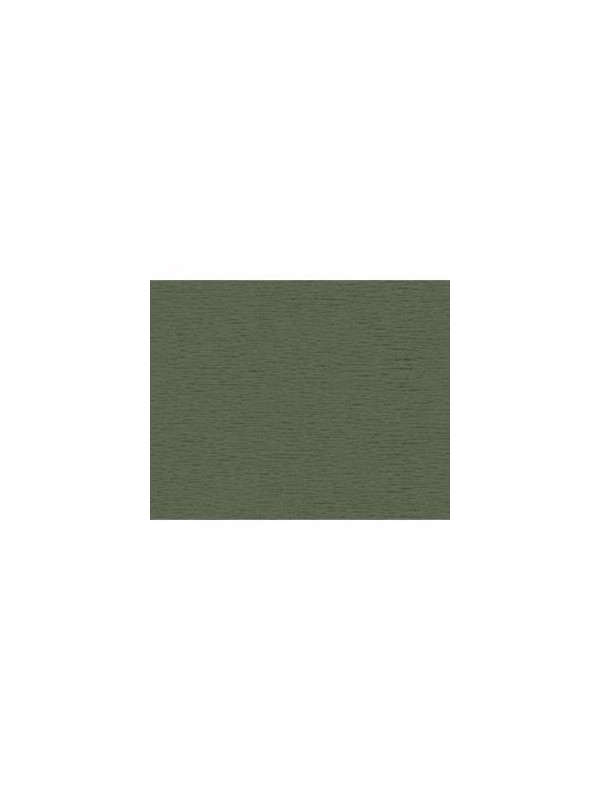 KREP PAPIR 60g-temno zelen 234