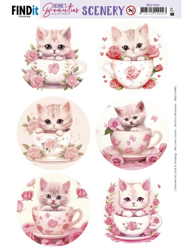 3D Push Out BBSC10081