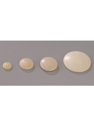 LESEN DISK 20mm