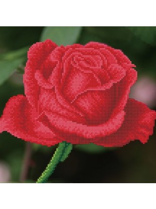 DIAMOND DOTZ VRTNICE DD5-038