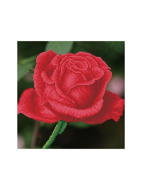 DIAMOND DOTZ VRTNICE DD5-038